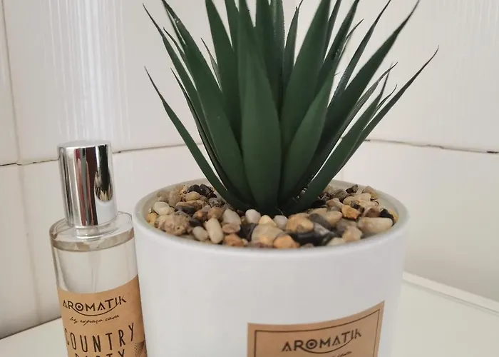 Daire Rocha Concorde Vista Mar