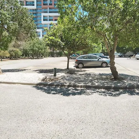 Rocha Concorde Vista Mar Διαμέρισμα *